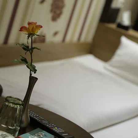 Hotel Alexander Business