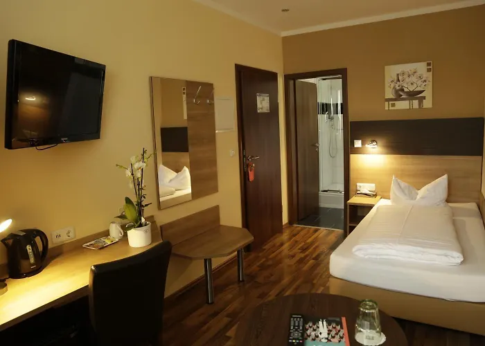 Отель Alexander Business 3*