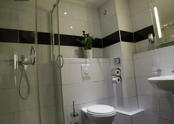 Alexander Business 3*