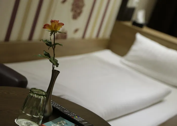 Hotel Alexander Business